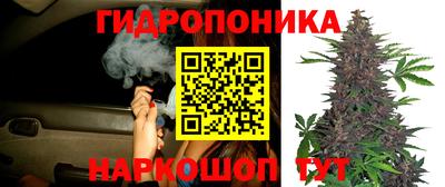 ПСИЛОЦИБИНОВЫЕ ГРИБЫ Бийск