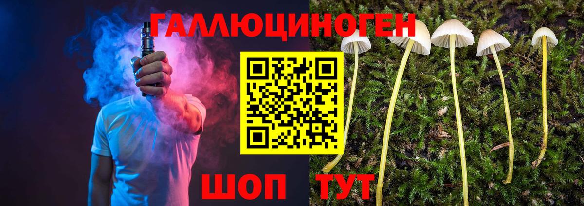 Галлюциногенные грибы Psilocybine cubensis  Вход с VPN  Галлюциногенные грибы прущие грибы  Киселёвск 